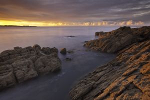 Mossyard Sunrise # 3